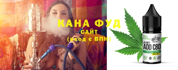стаф Вязьма