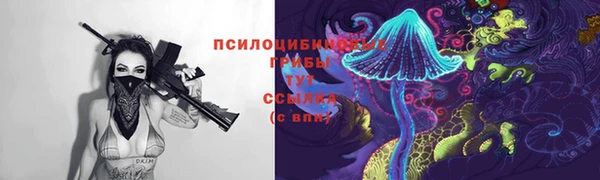 стаф Вязьма