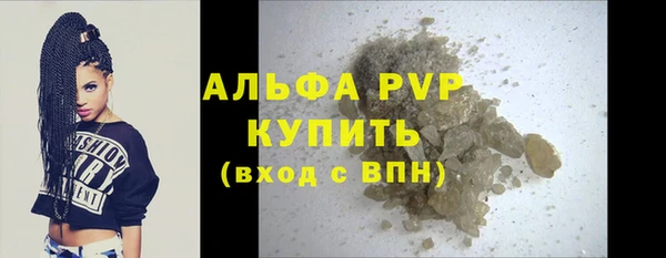 спайс Вяземский