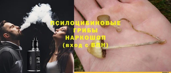 стаф Вязьма