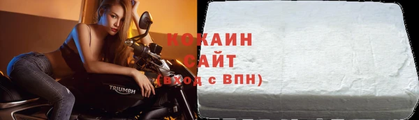 стаф Вязьма