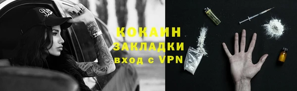 стаф Вязьма