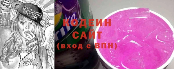 стаф Вязьма