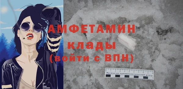 стаф Вязьма