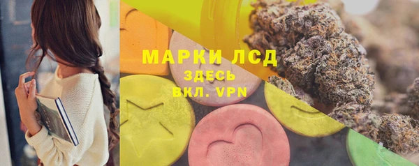стаф Вязьма