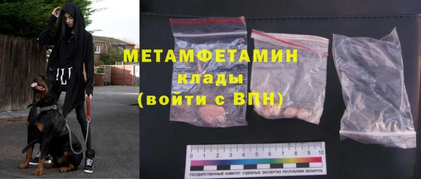 стаф Вязьма