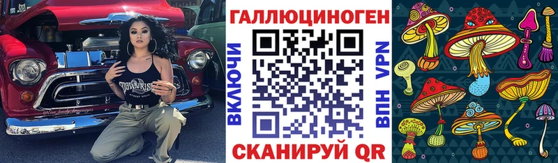 Купить где  Мглин  Псилоцибиновые грибы Psilocybine cubensis 