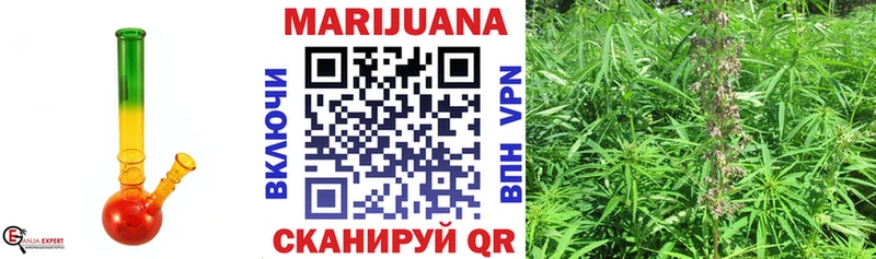 Купить закладки Мглин Бошки марихуана гибрид